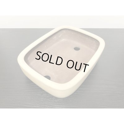 Photo6: "Shousen Yamaaki" Tokoname Pot / Japanese Bonsai Pot 