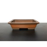 "Shibakatsu" Tokoname Pot / Japanese Bonsai Pot