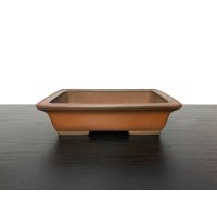 "Shibakatsu" Tokoname Pot / Japanese Bonsai Pot