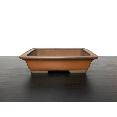 Photo1: "Shibakatsu" Tokoname Pot / Japanese Bonsai Pot