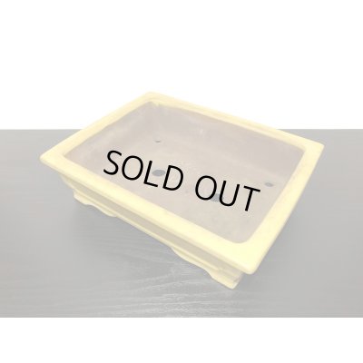 Photo6: "Shousen Yamaaki" Tokoname Pot / Japanese Bonsai Pot 