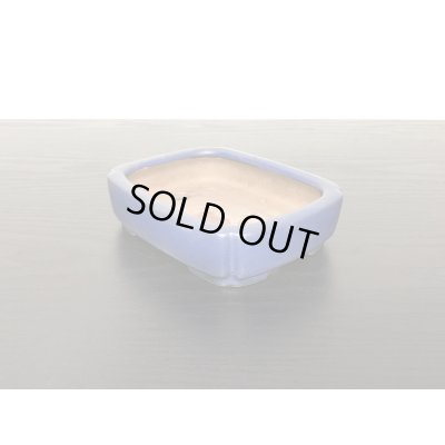 Photo4: "Shibakatsu" Tokoname Pot / Japanese Bonsai Pot