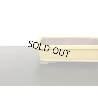 Photo3: "Shousen Yamaaki" Tokoname Pot / Japanese Bonsai Pot 