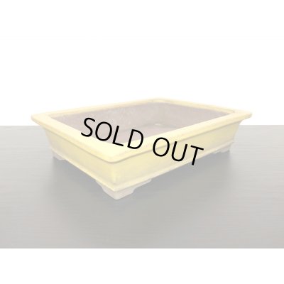 Photo4: "Shousen Yamaaki" Tokoname Pot / Japanese Bonsai Pot 