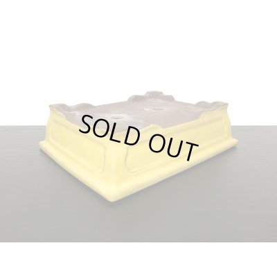 Photo5: "Shousen Yamaaki" Tokoname Pot / Japanese Bonsai Pot 