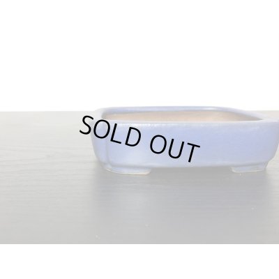 Photo3: "Shibakatsu" Tokoname Pot / Japanese Bonsai Pot