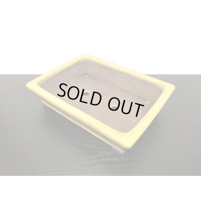 Photo6: "Shousen Yamaaki" Tokoname Pot / Japanese Bonsai Pot 