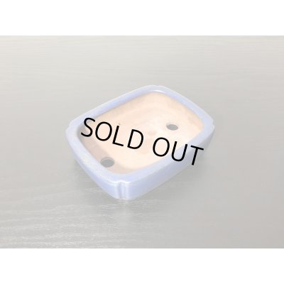 Photo5: "Shibakatsu" Tokoname Pot / Japanese Bonsai Pot