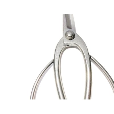 Photo4: Bonsai scissors / Stainless steel (KIKUWA)