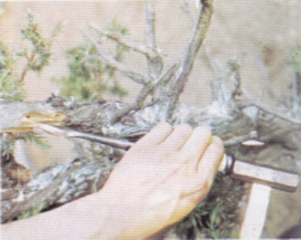 Photo2: Graving chisel / Wooden grip (MASAKUNI) (2)