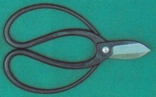 MASAKUNI-bonsai tools