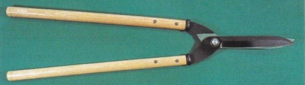 Photo1: Gardening shears (MASAKUNI) (1)