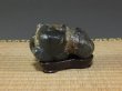 Photo3: Suiseki / Kamogawa-ishi ： Frog shaped stone (with one pedestal) (3)