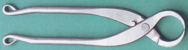 Photo1: Root cutter / Small size (MASAKUNI) (1)