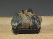Photo4: Suiseki / Kamogawa-ishi ： Frog shaped stone (with one pedestal) (4)