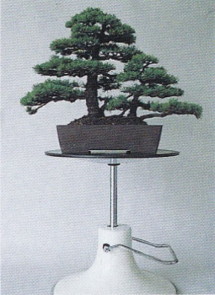 Photo2: Bonsai hydraulic lift turntable (MASAKUNI) (2)