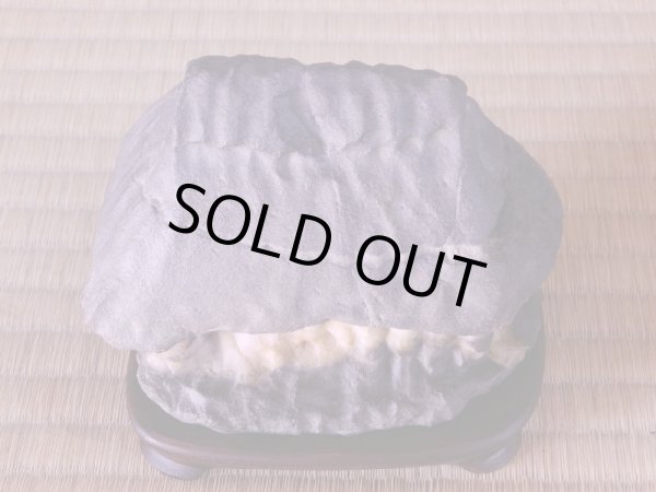 Photo3: Suiseki / Abegawa-ishi ： Kuzuya-ishi (with one pedestal) (3)