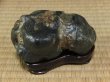 Photo5: Suiseki / Kamogawa-ishi ： Frog shaped stone (with one pedestal) (5)