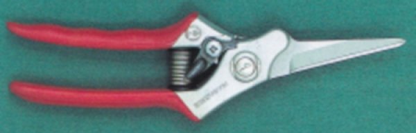 Photo1: Utility pruning shears (MASAKUNI) (1)