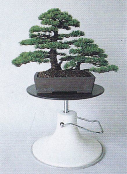 Photo3: Bonsai hydraulic lift turntable (MASAKUNI) (3)