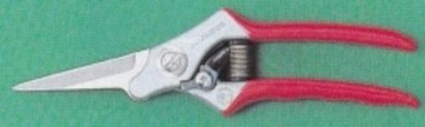 Photo1: Utility pruning shears (MASAKUNI) (1)