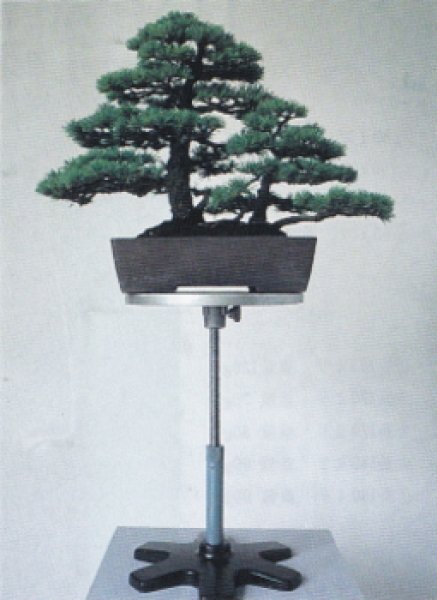 Photo2: Turntable / Screw type (MASAKUNI) (2)