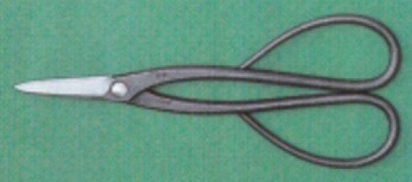 Photo1: [Patent] Trimming shears - B (MASAKUNI) (1)