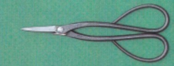 Photo1: [Patent] Trimming shears - C (MASAKUNI) (1)