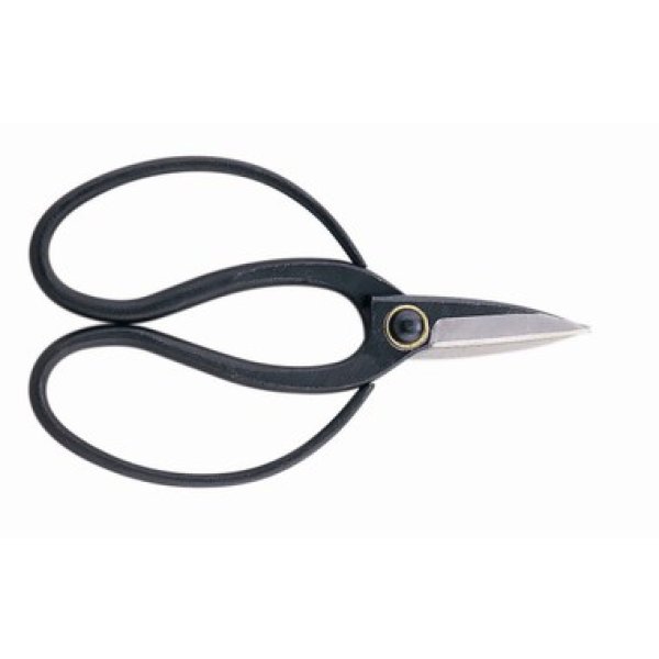 Photo1: Professional pruning shears (1)