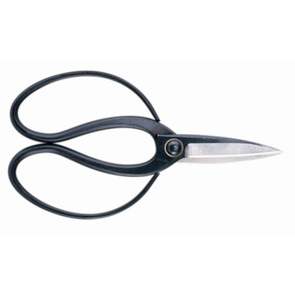 Photo1: Professional pruning shears (1)