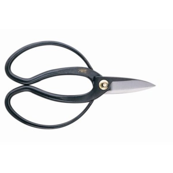 Photo1: Professional pruning shears (1)