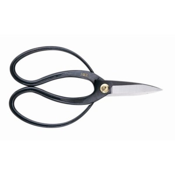 Photo1: Professional pruning shears (1)