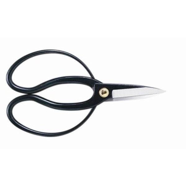 Photo1: Pruning shears (1)