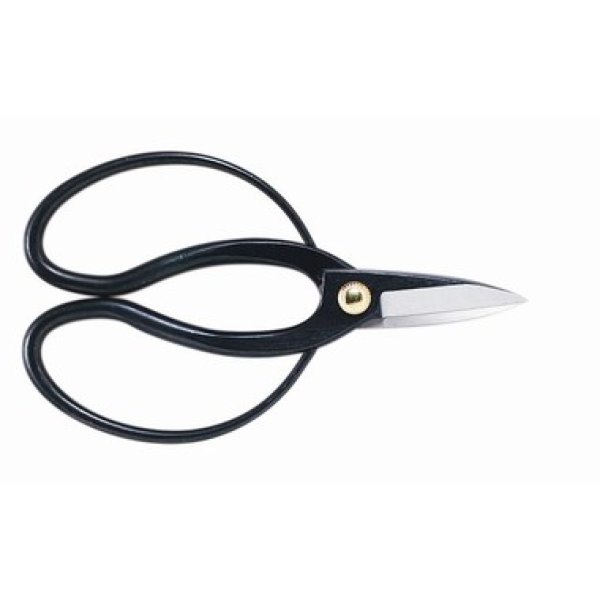 Photo1: Pruning shears (1)