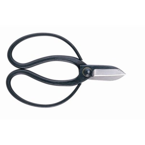 Photo1: Professional flower arrangement shears (1)