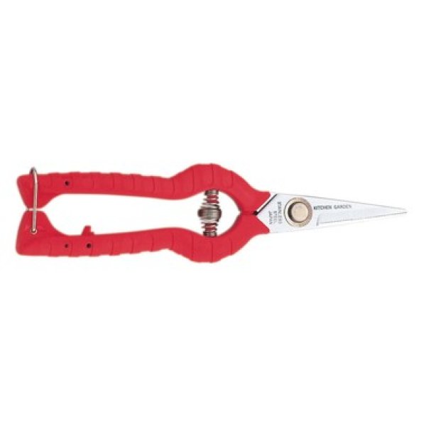 Photo1: Stainless steel vegetable gardening shears (1)