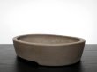 Photo4: "Kisen" Tokoname Pot / Japanese Bonsai Pot (4)