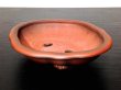 Photo6: "Bigei" Tokoname Pot / Japanese Bonsai Pot (6)