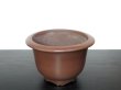 Photo5: "Yamaaki" Tokoname Pot / Japanese Bonsai Pot (5)