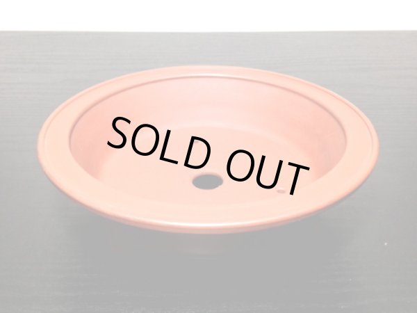 Photo4: "Bigei" Tokoname Pot / Japanese Bonsai Pot (4)