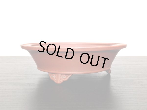 Photo5: "Bigei" Tokoname Pot / Japanese Bonsai Pot (5)