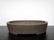 Photo8: "Kisen" Tokoname Pot / Japanese Bonsai Pot (8)