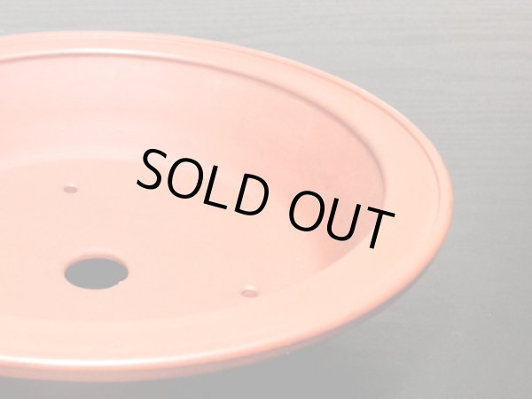 Photo8: "Bigei" Tokoname Pot / Japanese Bonsai Pot (8)