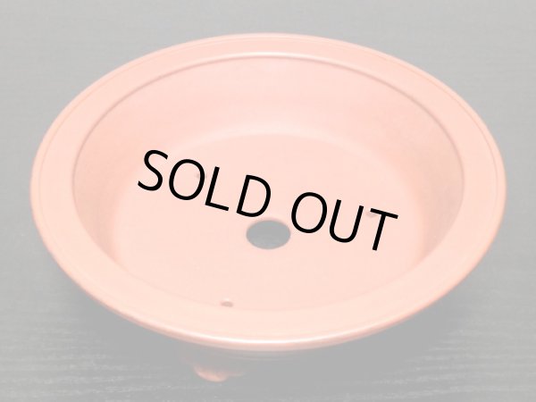 Photo6: "Bigei" Tokoname Pot / Japanese Bonsai Pot (6)