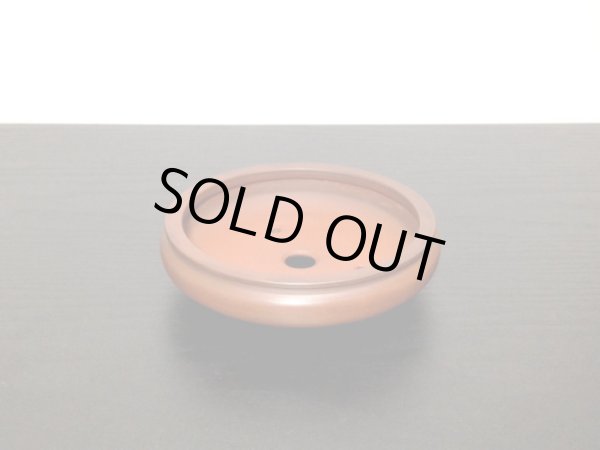 Photo6: "Bigei" Tokoname Pot / Japanese Bonsai Pot (6)