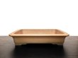 Photo1: "Gyozan" Tokoname Pot / Japanese Bonsai Pot (1)