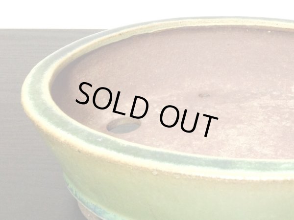Photo5: "Shosen Yamaaki " Tokoname Pot / Japanese Bonsai Pot (5)