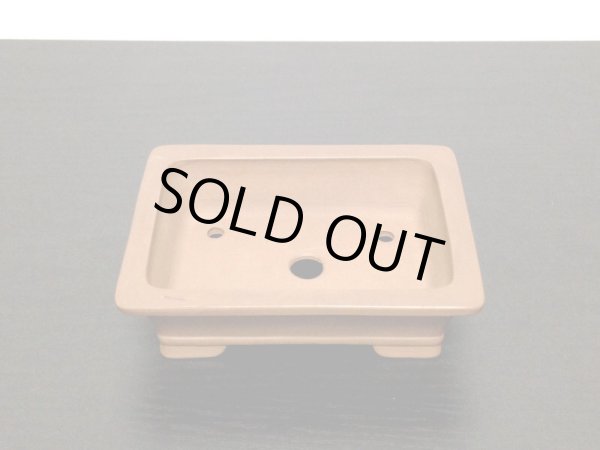 Photo8: "Gyozan" Tokoname Pot / Japanese Bonsai Pot (8)