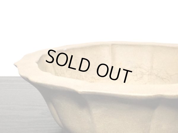 Photo6: Bonsai Pot / Rinka (6)