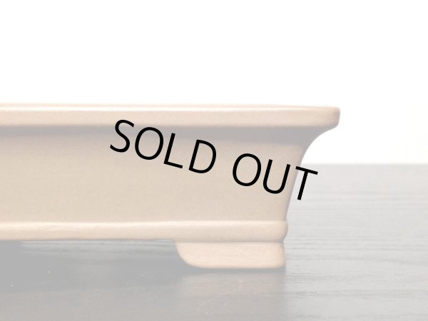 Photo6: "Gyozan" Tokoname Pot / Japanese Bonsai Pot (6)